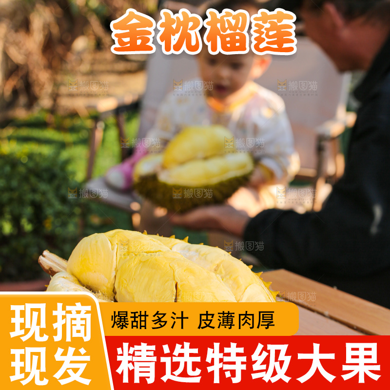 金枕榴莲