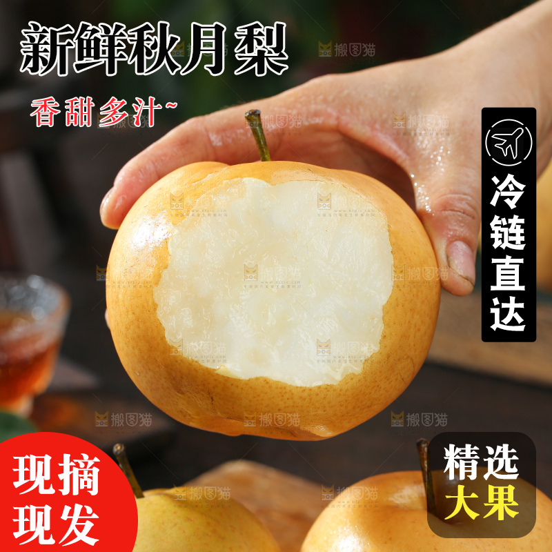 秋月梨