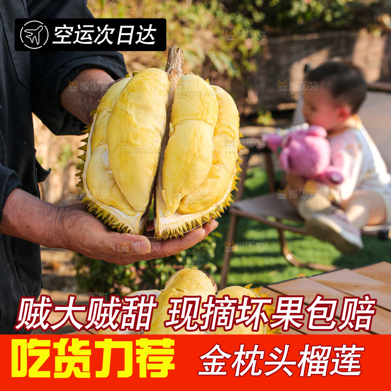 金枕榴莲