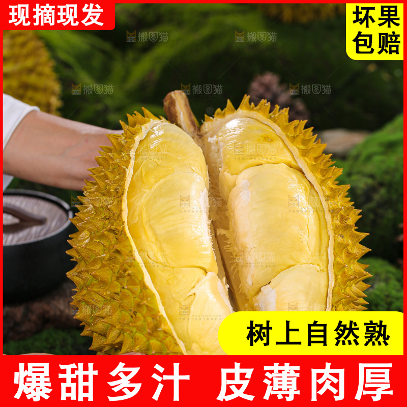 金枕榴莲
