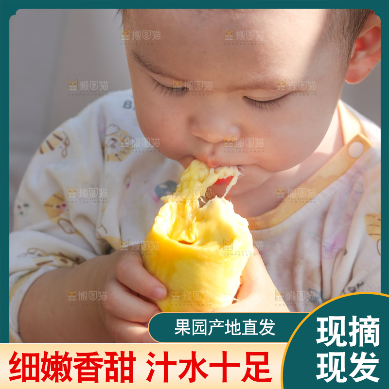 金枕榴莲