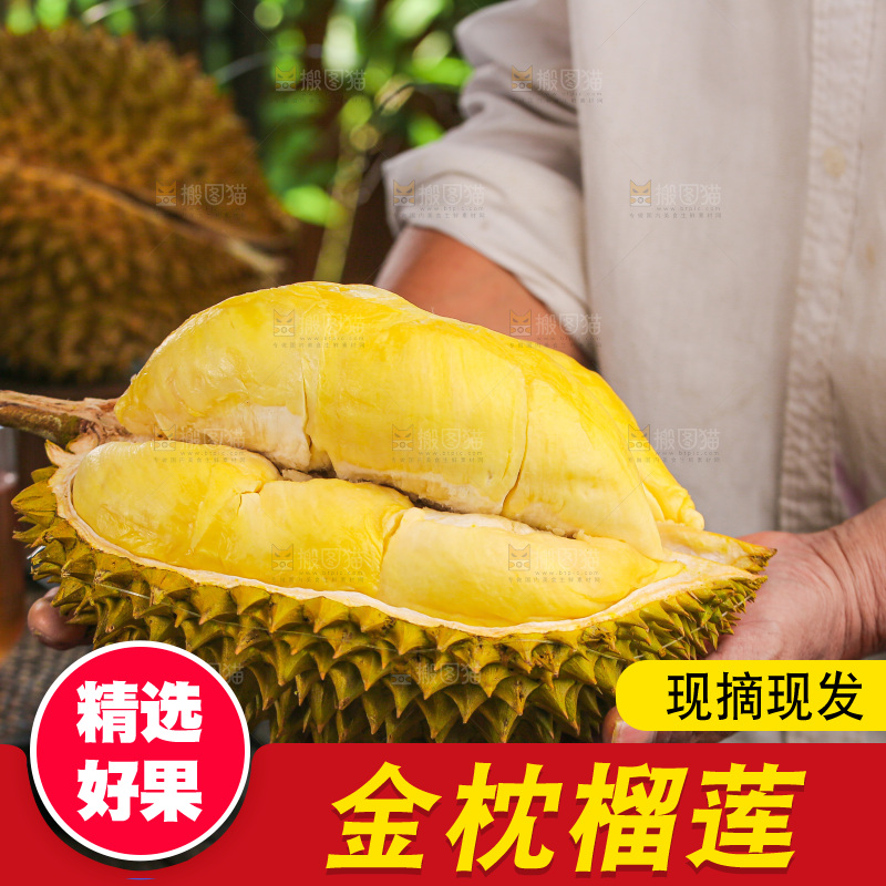金枕榴莲