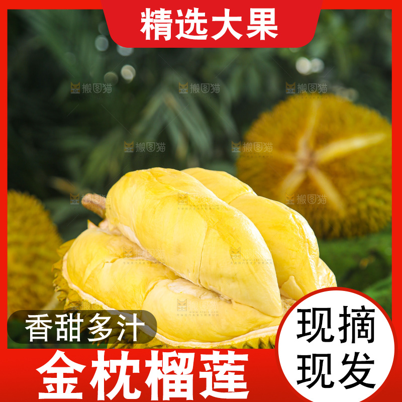 金枕榴莲