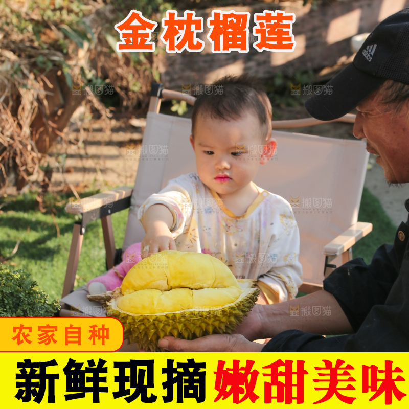 金枕榴莲