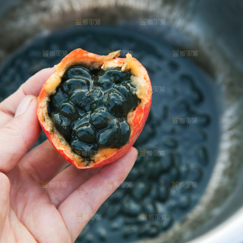 吊瓜子