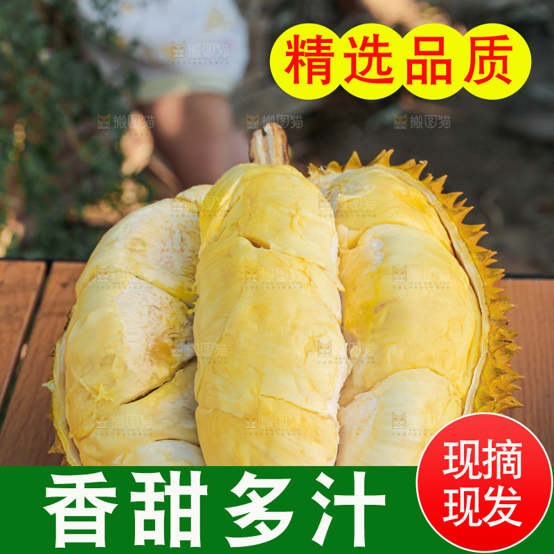 金枕榴莲