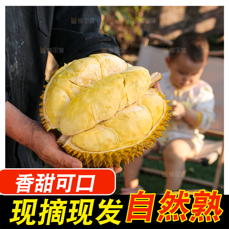 金枕榴莲