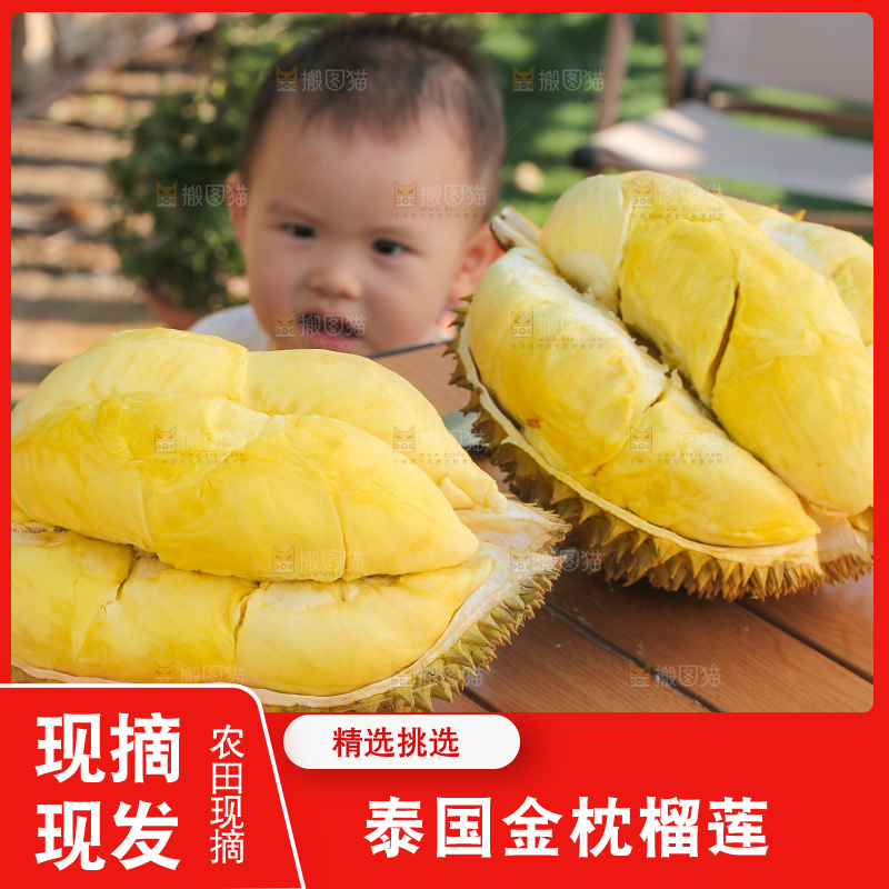 金枕榴莲