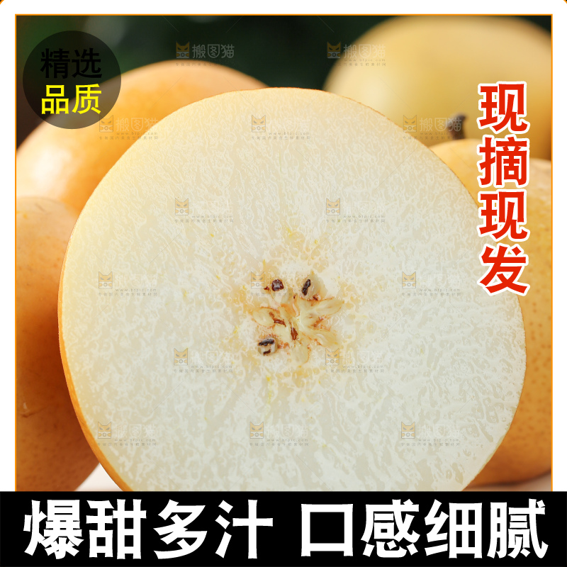 秋月梨