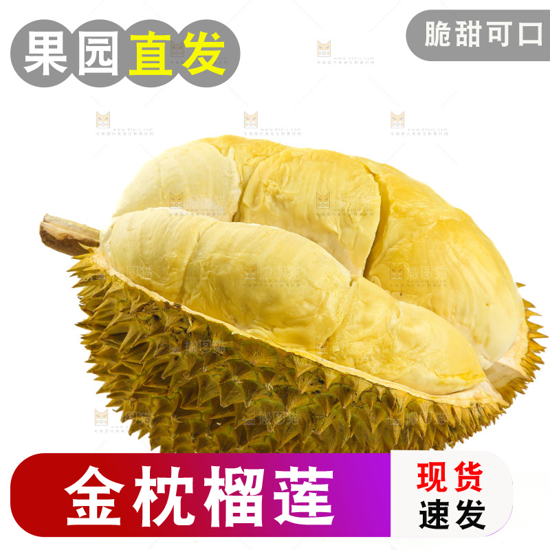 金枕榴莲