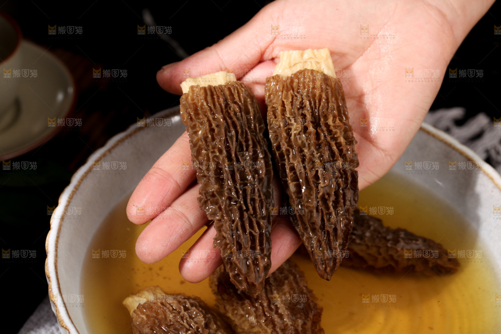 羊肚菌