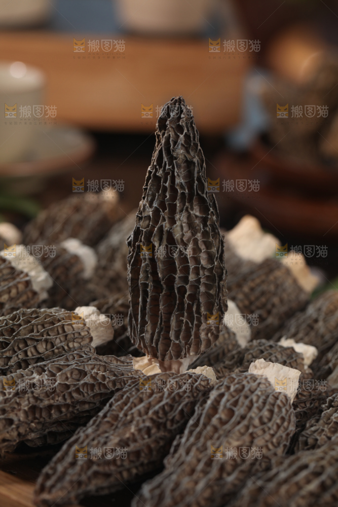 羊肚菌