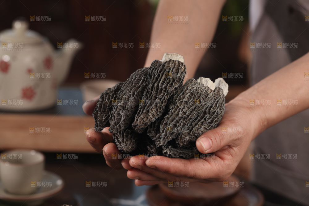 羊肚菌