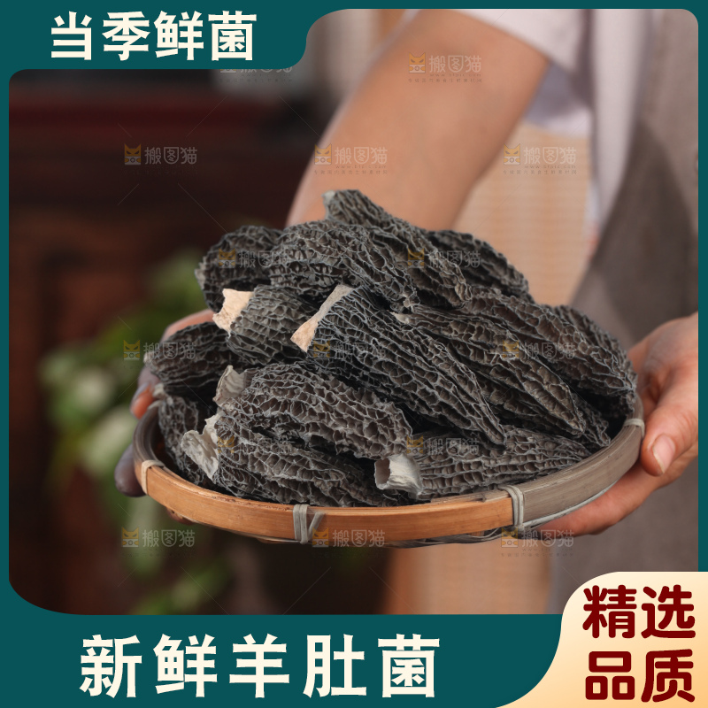 羊肚菌
