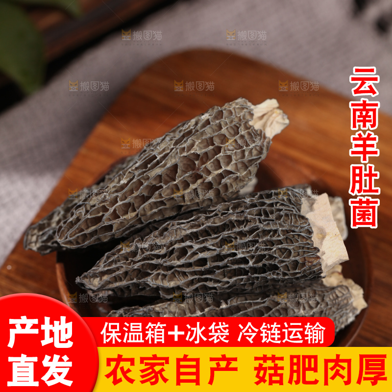 羊肚菌