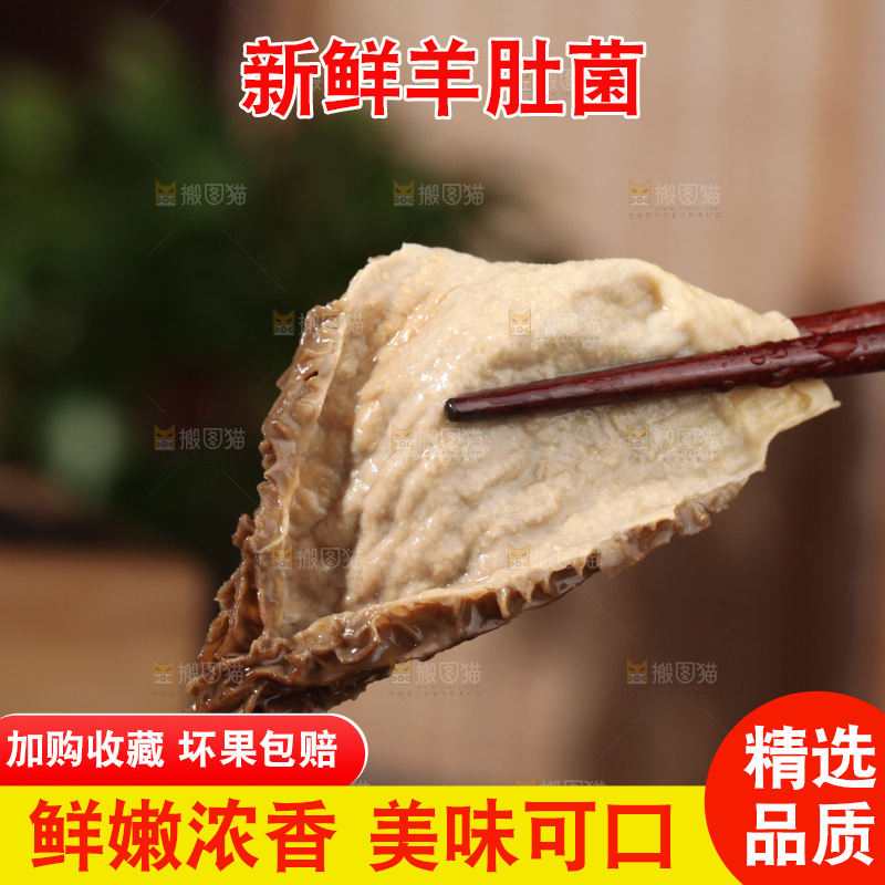 羊肚菌