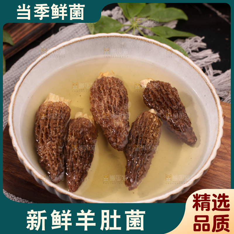 羊肚菌