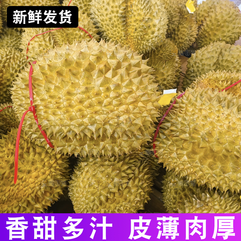 堆放着的金枕榴莲