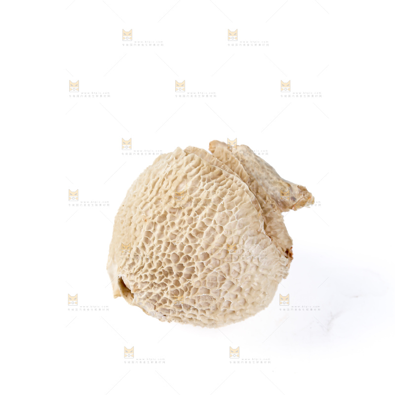 竹毛肚