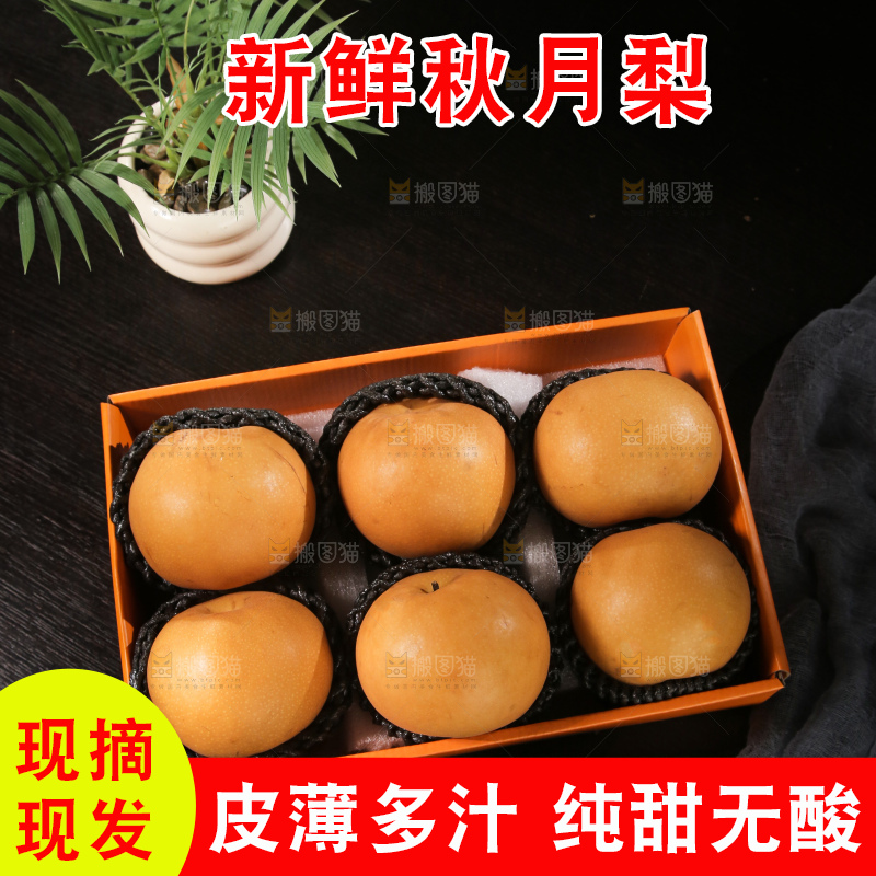 秋月梨