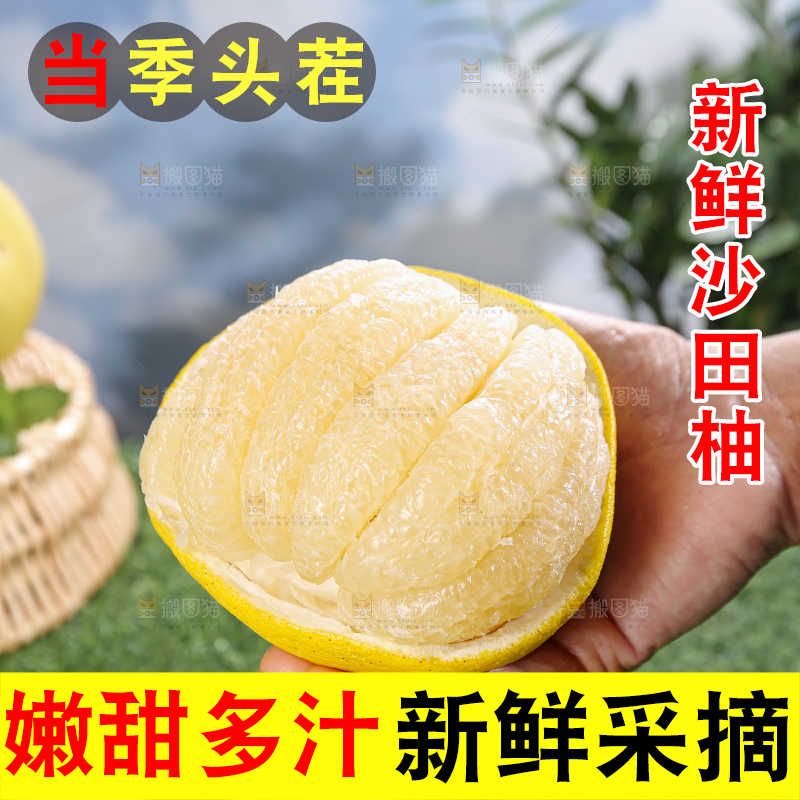 沙田柚