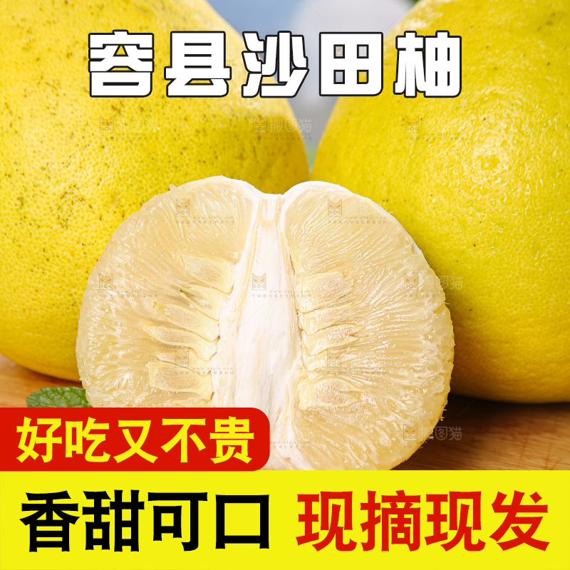 沙田柚