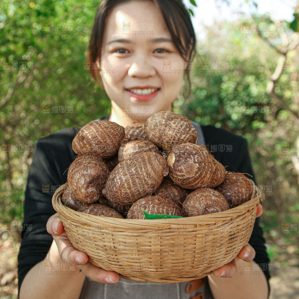 牛奶小芋头