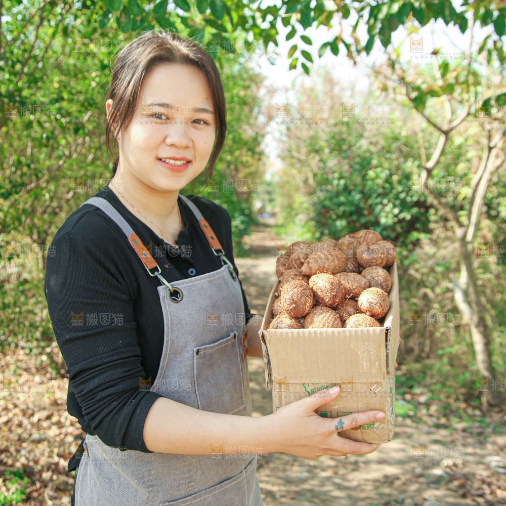 牛奶小芋头