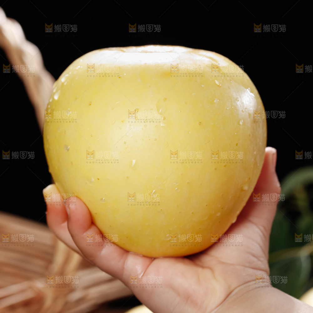 维纳斯苹果
