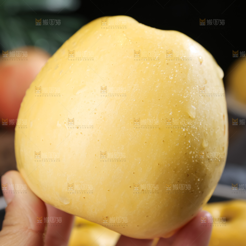 维纳斯苹果