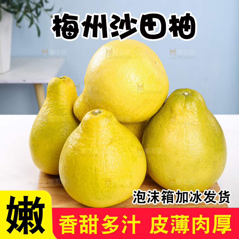 沙田柚