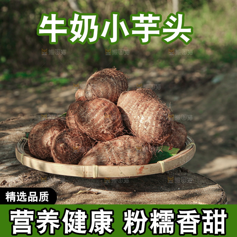 牛奶小芋头