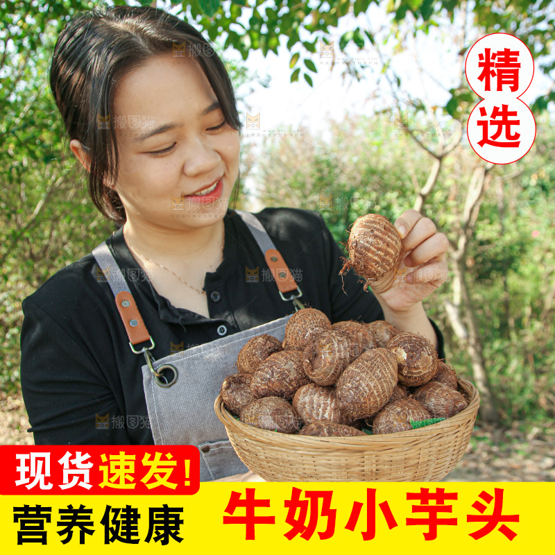 牛奶小芋头
