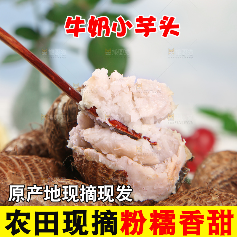 牛奶小芋头