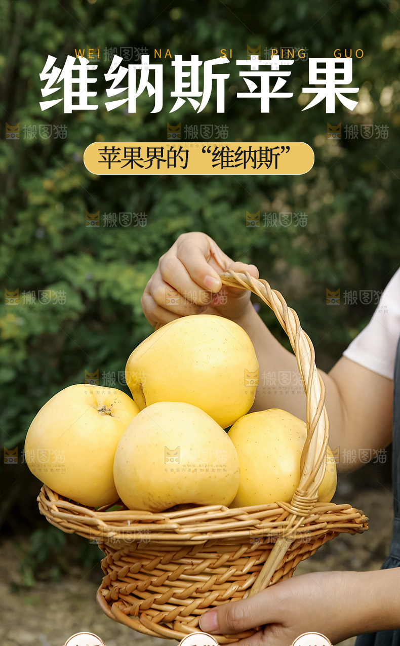 维纳斯苹果详情页