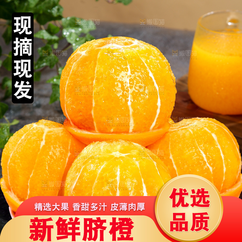 脐橙