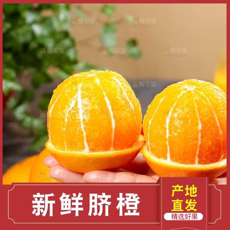 脐橙