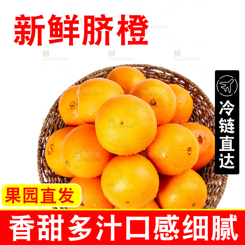 脐橙