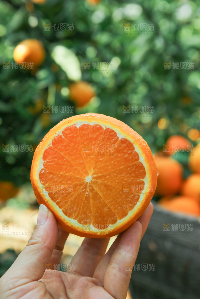 爱媛果冻橙