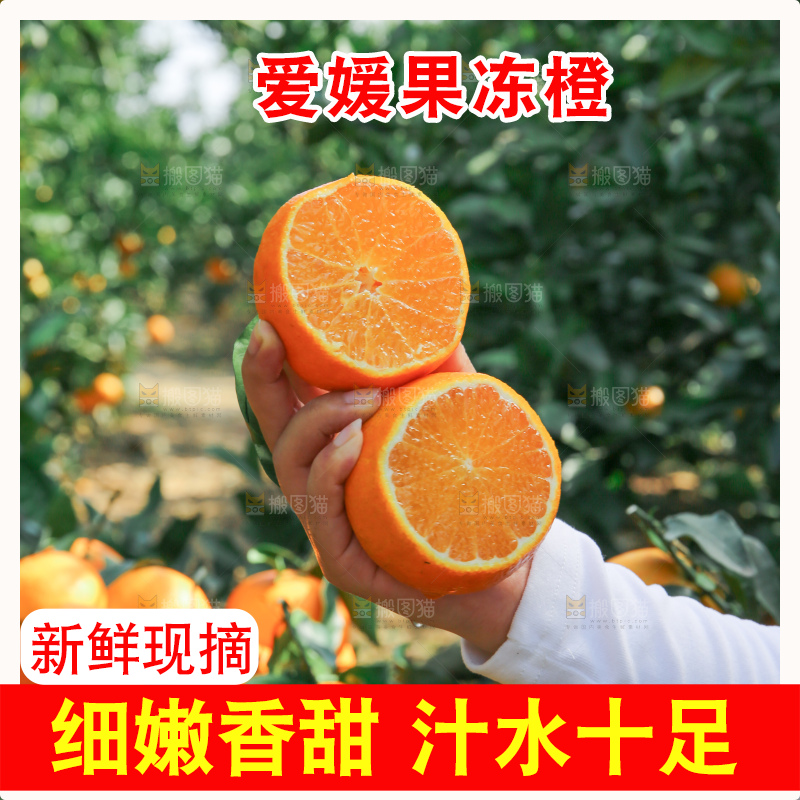 爱媛果冻橙