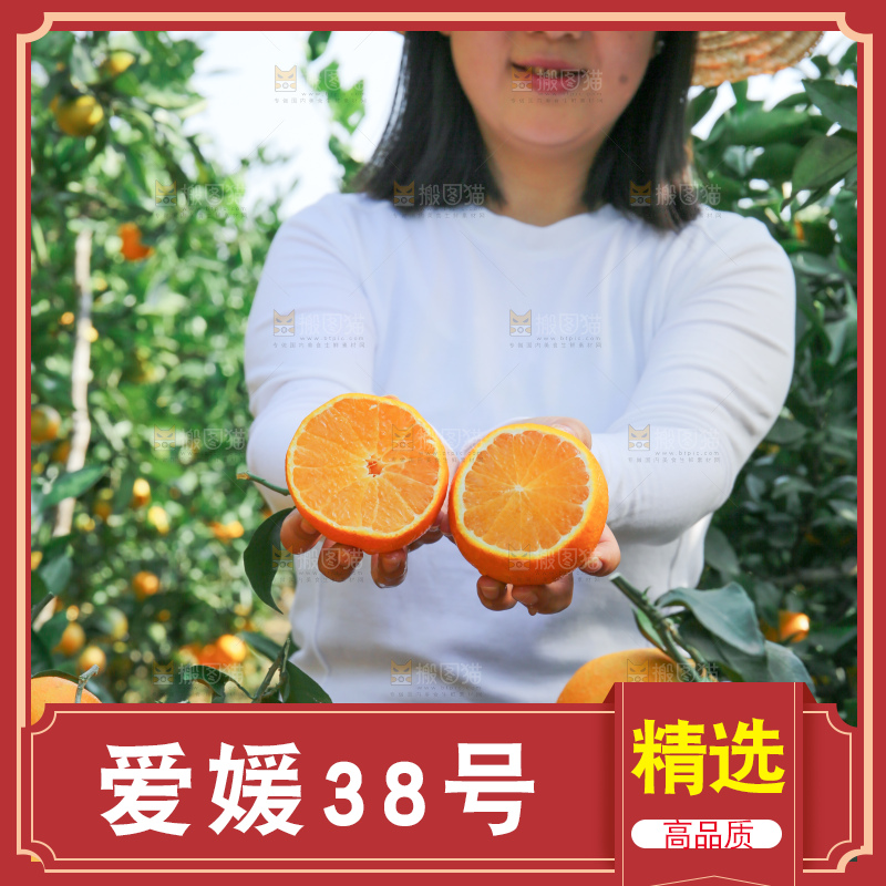 爱媛果冻橙