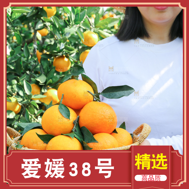 爱媛果冻橙