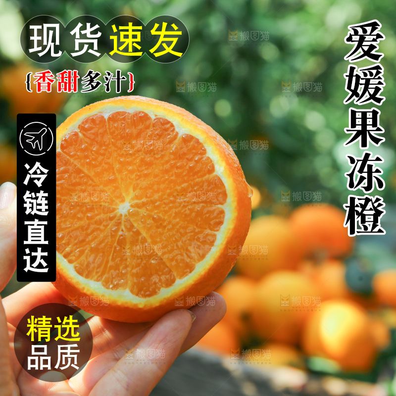爱媛果冻橙