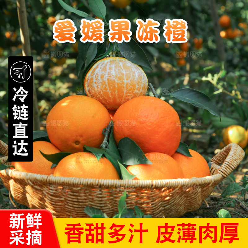 爱媛果冻橙