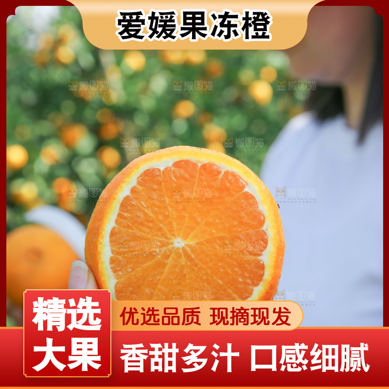 爱媛果冻橙
