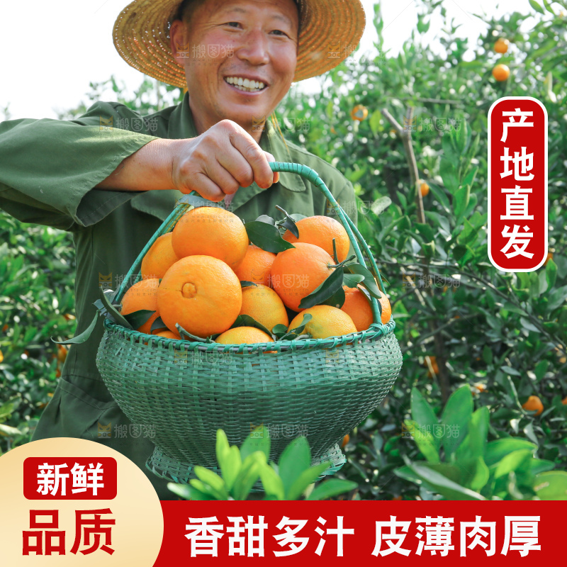 爱媛果冻橙