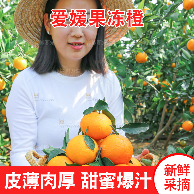 爱媛果冻橙