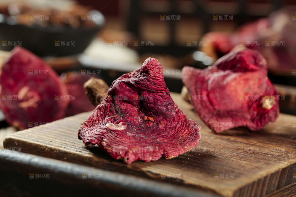 红菇
