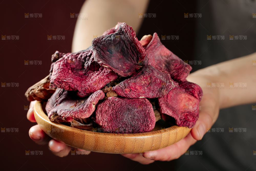 红菇