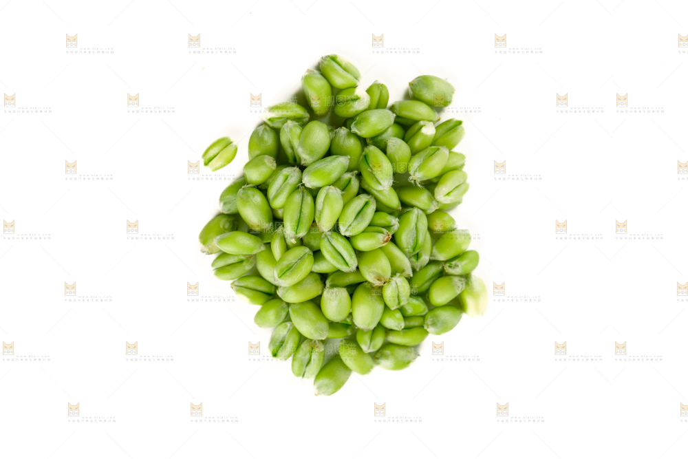 青麦仁